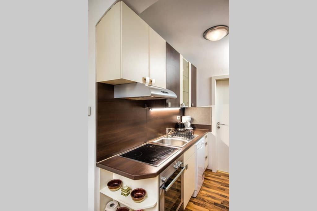 Cosy Apartment Near Stephansplatz Βιέννη Εξωτερικό φωτογραφία